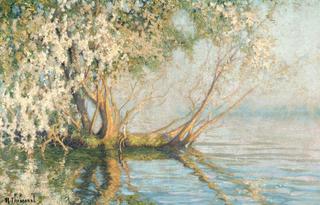 Arbres, bord de la Seine