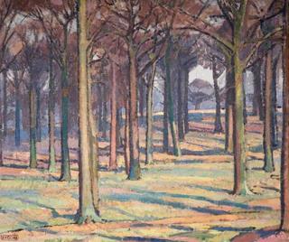 Wood in Richmond Park