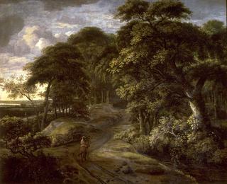 Entrance to a Forest
