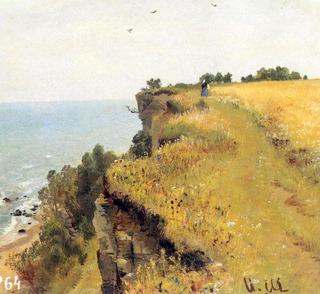 Near Coast of Gulf of Finland (Study)