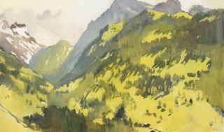 In the mountains. Switzerland