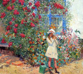 Summer Flowers