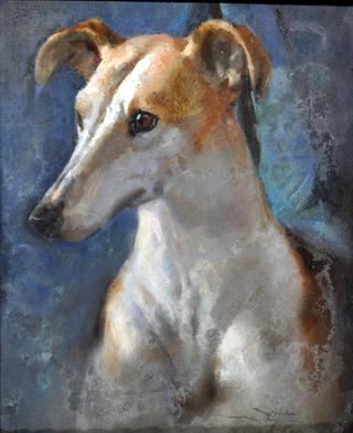 A Dog