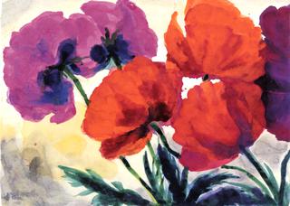 Five Poppies (orange and pink-violet)