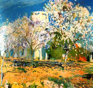 Almendros floridos
