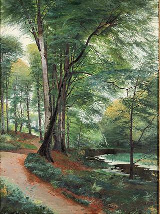 Beech Forest with a Brook