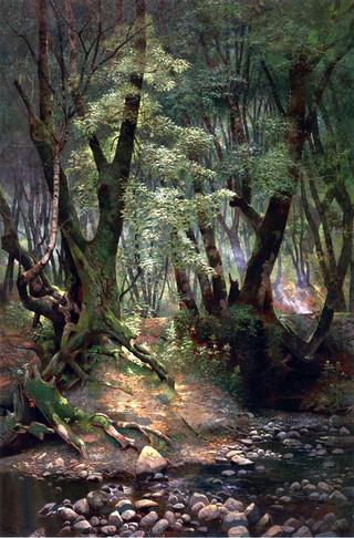 Strawberry Creek