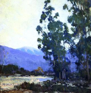 Trees before the Arrayo