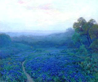 Path Through a Field of Bluebonnets