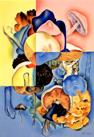 Fungi
