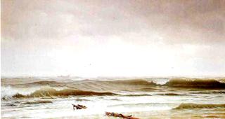 Along the Shore