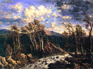 Autumn, Windy Day
