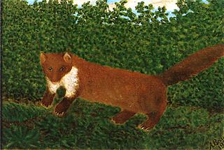 The Otter