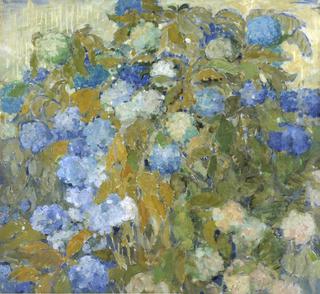 Blue Hortensias