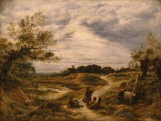 Hampstead Heath