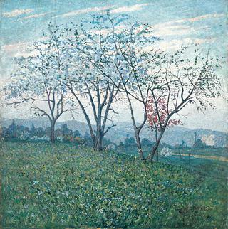 Trees