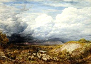 Landscape with Sheep