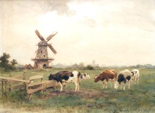 Landscape with grazing cows