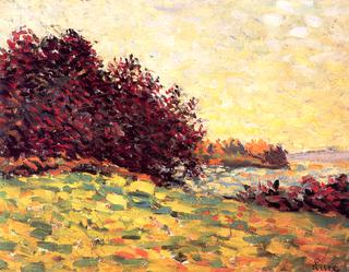 Bourgogne, Clump of Trees in a Plain
