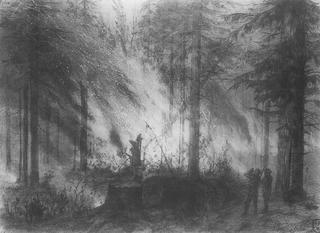 Forest Fire