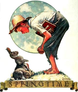 Bunny Boy