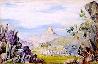 Peak of Casa Branca with Its Iron Rocks and Tree Lilies, Brazil