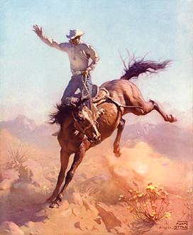 Ride'em Cowboy, Arizona