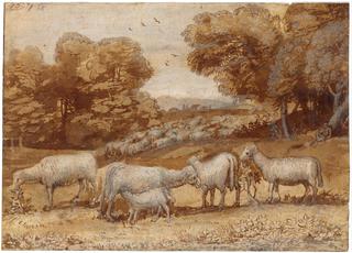 Landscape with Sheep