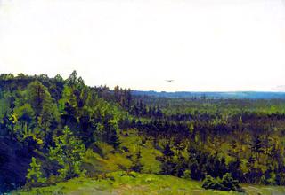 Wooded Landscape