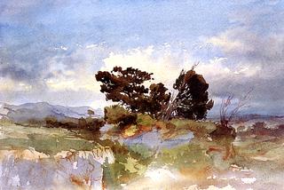 Environs de Marseille, arbres dans un paysage