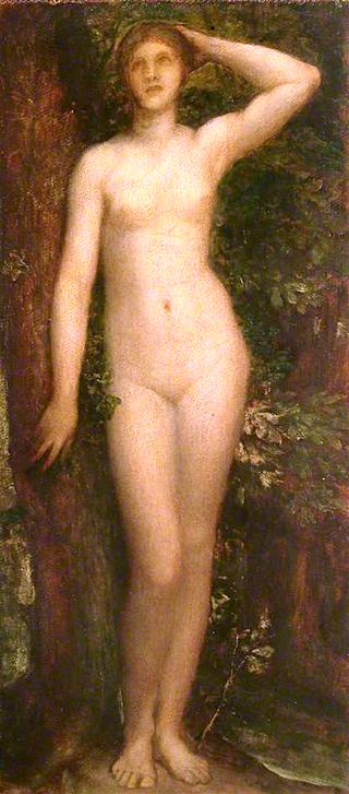 Thetis