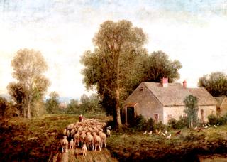 Farmhouse with Sheep and Chickens