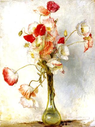 Poppies