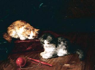 kittens playing
