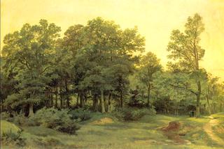 Deciduous forest