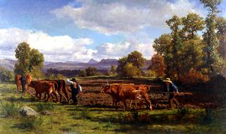 Ploughing in the Nivernais