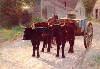 Ox Team