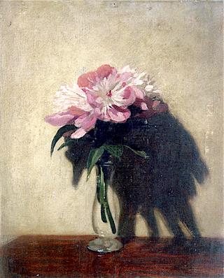 Pink Peonies