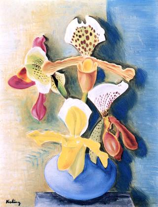 Orchids