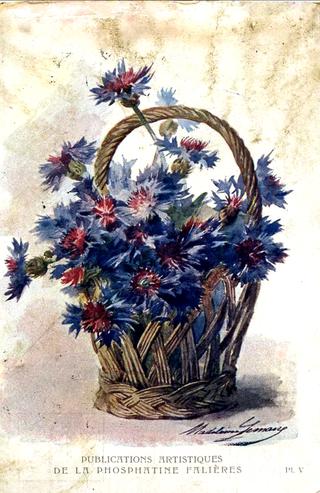 Cornflowers