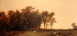 Genesee River Scenery