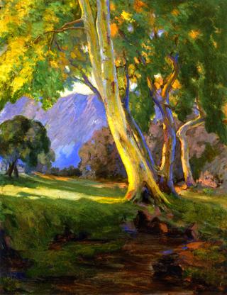 Tree in the Arroyo