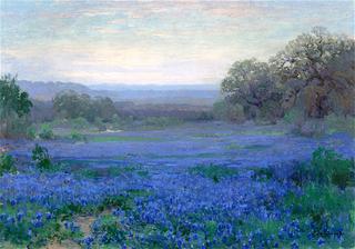 A Blue Bonnet Field