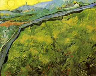Enclosed Wheat Field with Rising Sun