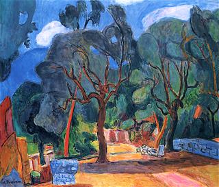 Path with Olive Trees near Lacdo Ameno