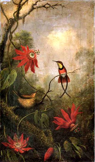 Passion Flowers and Hummingbirds