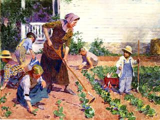 In the Garden