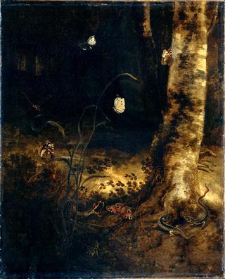 Forest floor still life with butterflies and reptiles