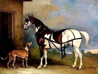 'Lofty', a Skewbald Carriage Horse, with a Greyhound