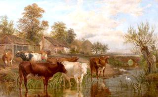 Lady Lea Farm